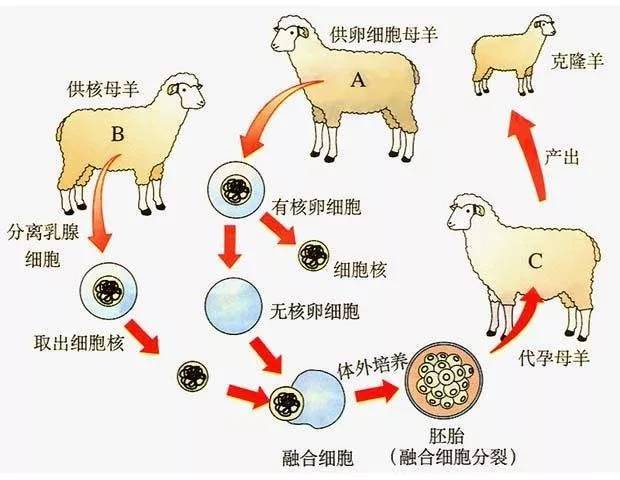 a5c6cb303cd04128b673a40a032ef000.jpeg