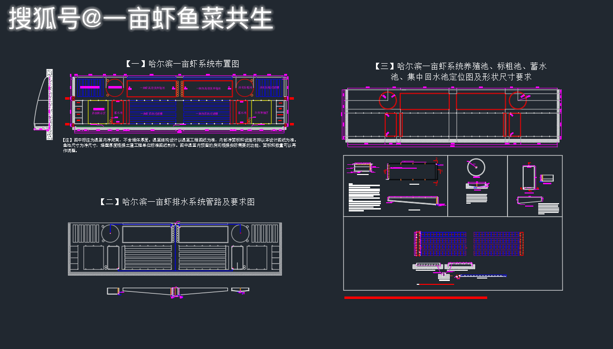 考察"一亩虾"鱼菜共生项目确实可行的新模式