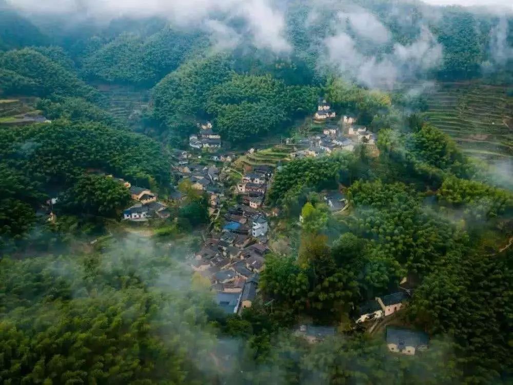 旅居中国 | 隐居天然氧吧,寻找云端觅境