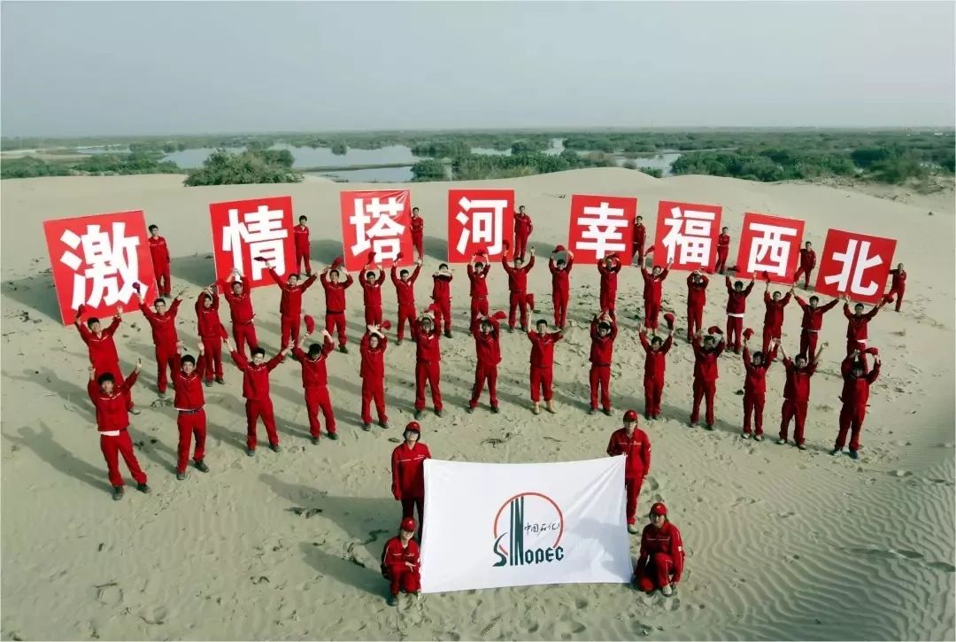 油田招工信息最新 b572f721b7164b27baa4f76e7697b23b.jpeg