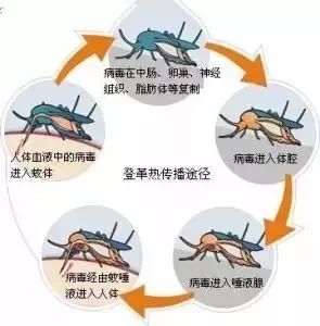 b60b80769c2d48c893d6912295e286db.jpeg