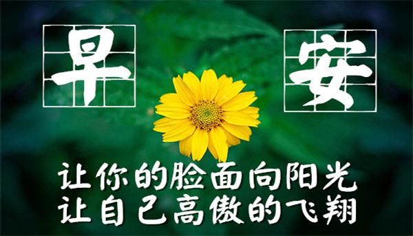 怎样才能上好圆领 b837a0b7ac154c65928eef9c4a00ed92.jpeg