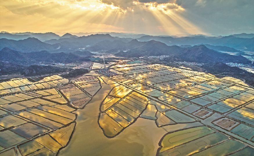 三门县岭根陈村人口多少_陈村粉