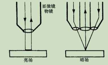 显微镜油浸物镜的使用原理是什么_显微镜的目镜和物镜(3)