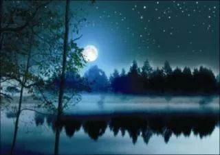 古诗词推荐 | 刘方平《月夜》