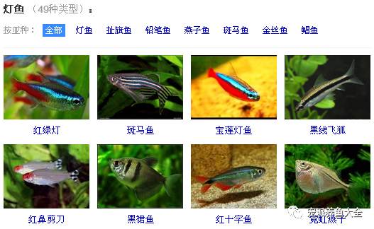 d503d14b7e1644eb9da344cdb2f53f85.jpeg