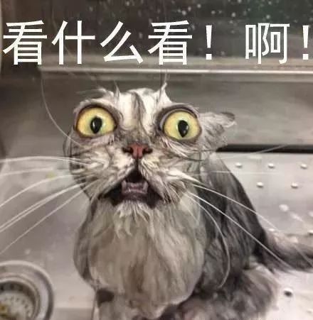 d7abc6c36b594c809819e0428f13752c.jpeg