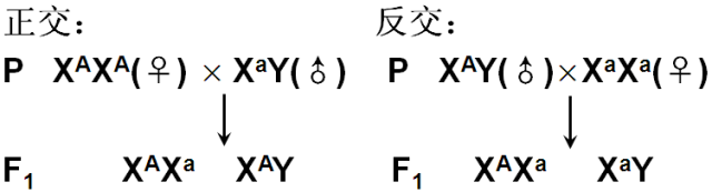 上(1)若基因在常染色体上用相对性状的个体(纯合体)做正交,反交实验