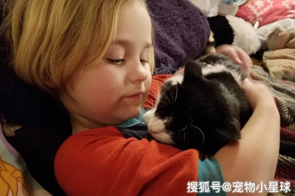 如何让孩子变得温情 e1df9070e99b44628510b2083bb36f2c.png