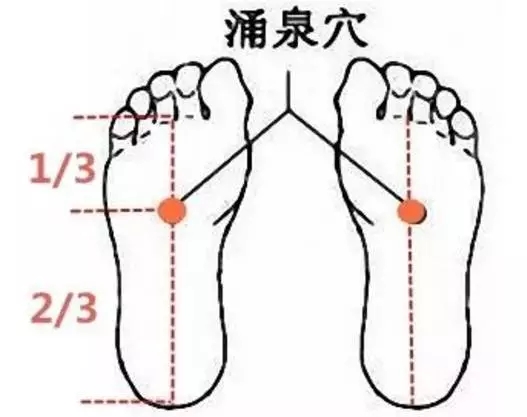 f2a6067008cf48f984478da59c85414e.jpeg