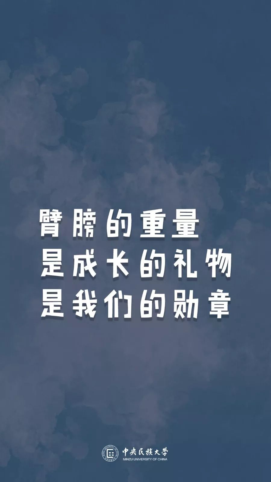 成语雄什么壮志_壮志凌云(4)