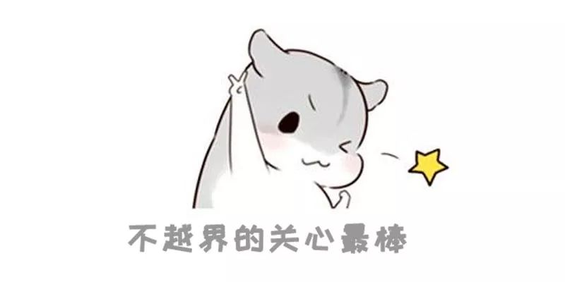 fa84999496ab45df8d9b9970864474e1.jpeg
