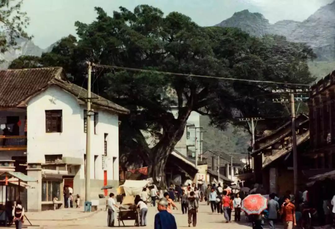 壮丽70年荔波70年沧桑巨变描绘富美新画卷