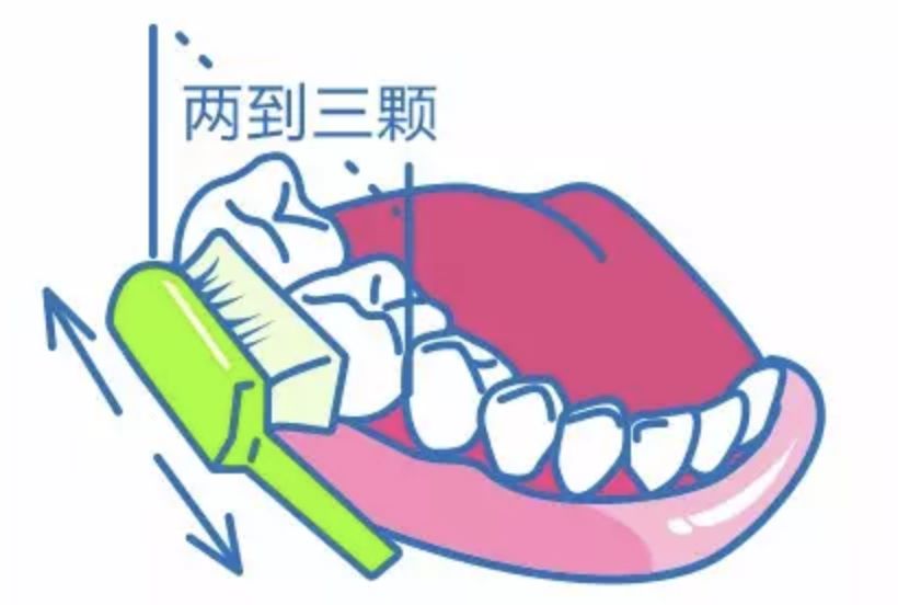 全国爱牙日 孩子怎么刷牙,这篇文章操作性最强!_牙齿