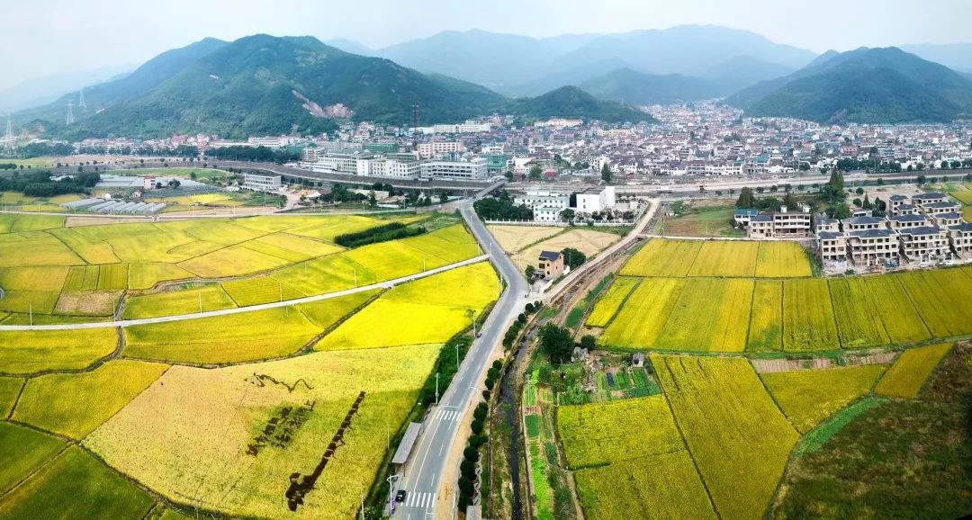 路桥区人均_台州市路桥区横街镇(3)