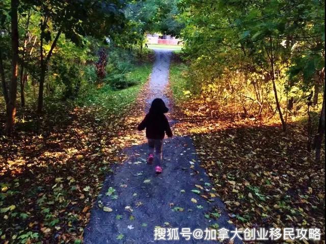 加拿大小孩_加拿大孩子怎么生_加拿大生娃娃