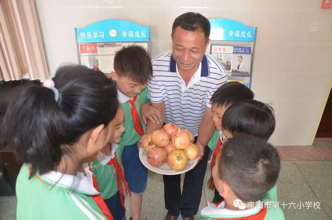 感恩秋实收获幸福南阳市第十六小学校本四季课程之秋实节