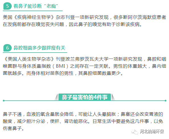 【健康】人体"空气净化器"的6个健康小秘密_鼻子