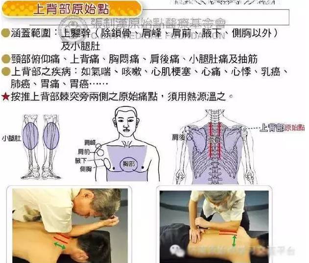 肩部痛上臂痛按推肩部原始点:注意:肩峰部及上臂痛,都是按推肩部原始