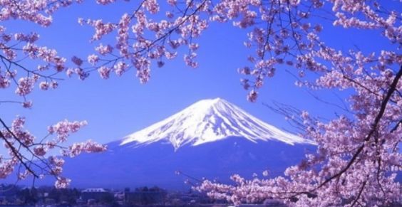 现在能去日本旅游吗安全吗 3dbf2bec056b4b63a91e46d3ec407a2d.jpeg