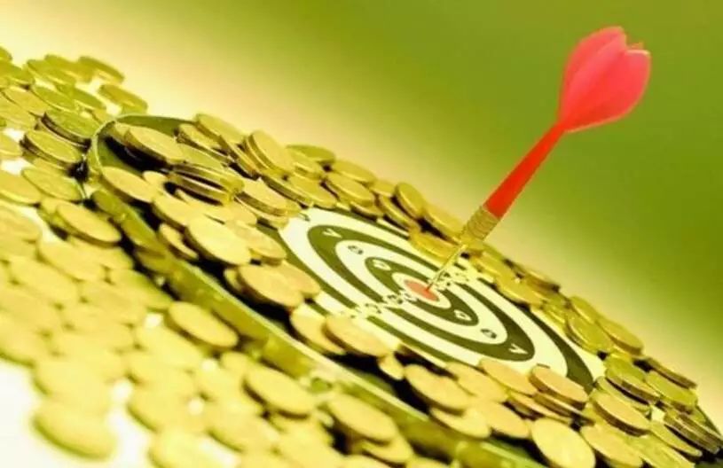 白菜和一个成功的成字猜一成语_失败和成功的图片带字(2)