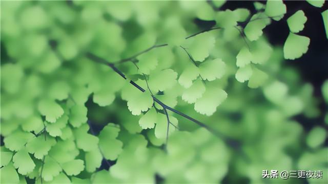 6ab1a32a39b248db8f96c067856f8cea.jpeg
