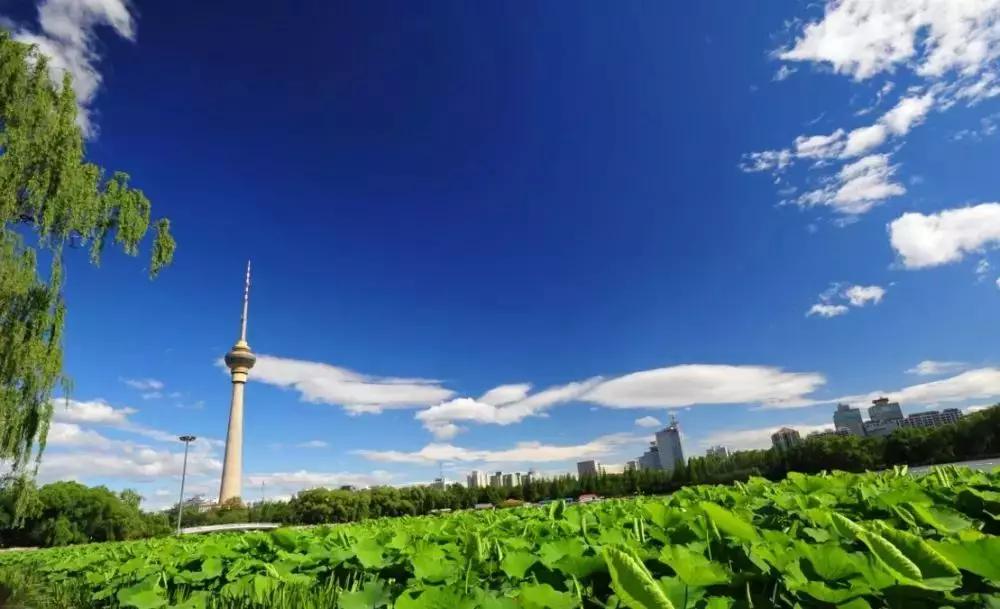 台州人口环境_台州人口2019总人数口(2)