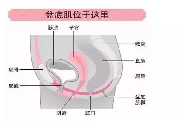 跳绳时会漏尿是怎么办