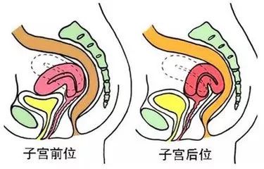怎样能更容易受孕 71233a8a91534c8bac4a73970be68d9c.jpeg