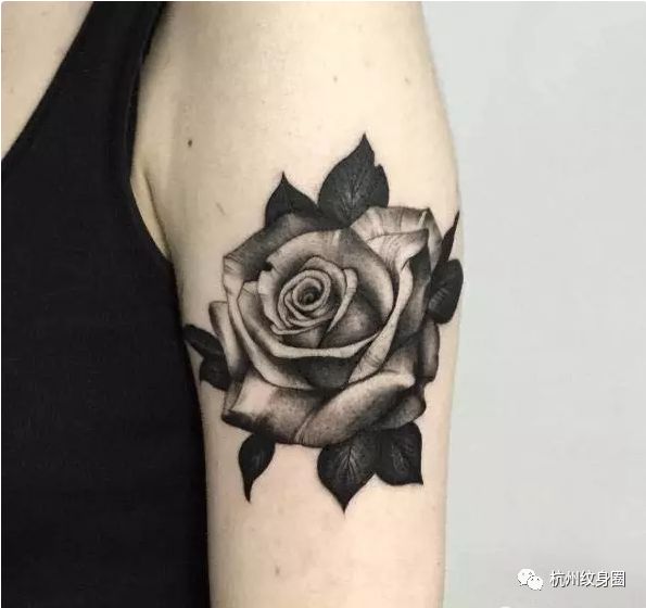 tattoo纹身素材黑玫瑰