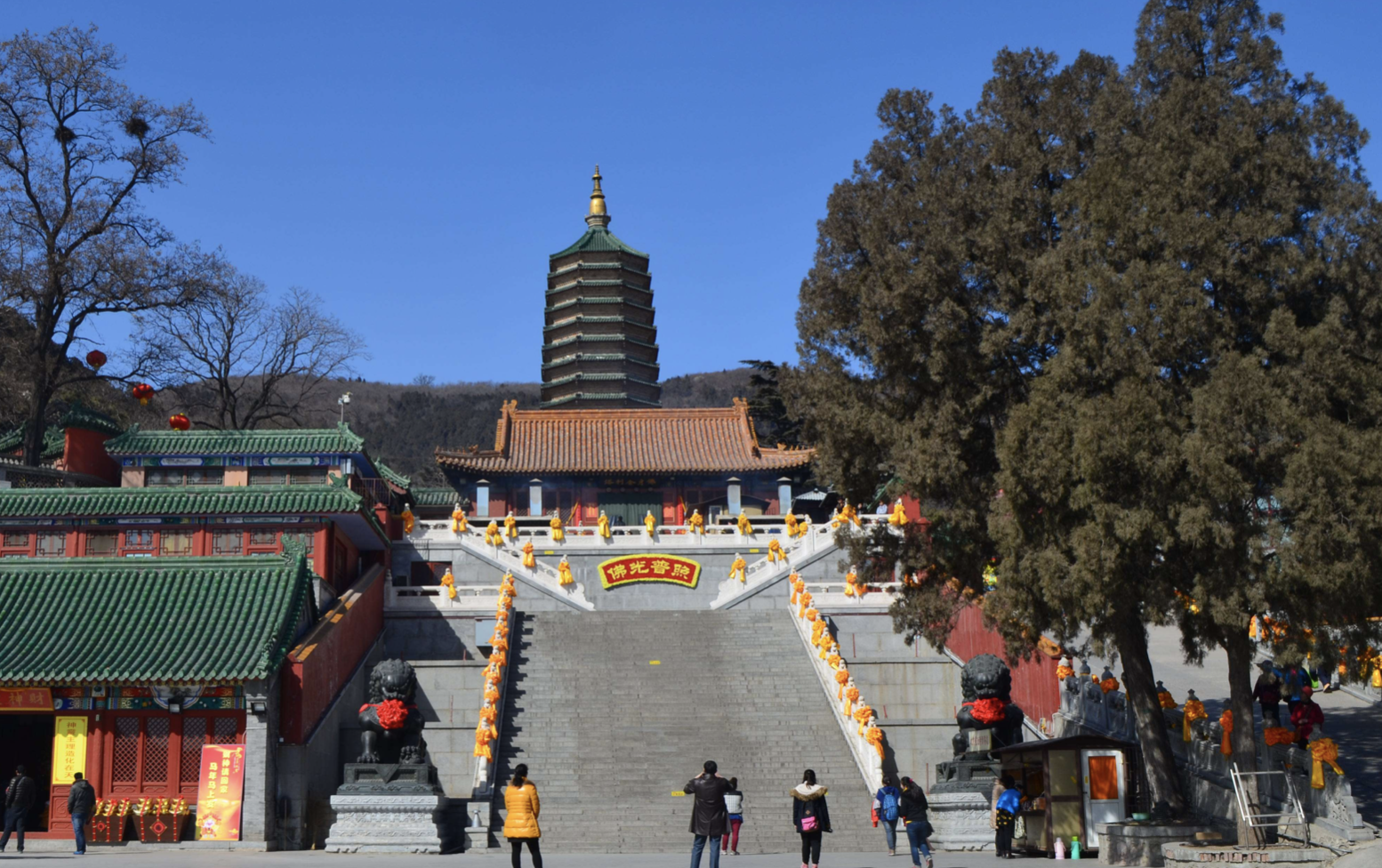 山东半岛 城市群 经济总量_山东半岛城市群(2)