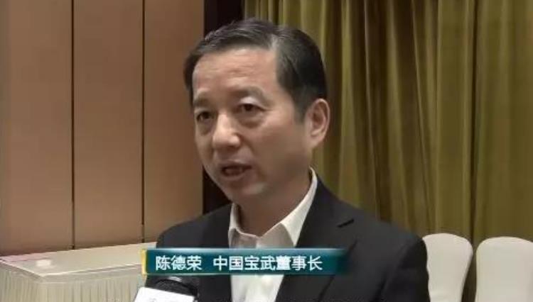 宝武董事长(2)