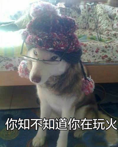 你知不知道你在玩火卧槽,吓死宝宝了你开心就好返回搜狐,查看更多责任