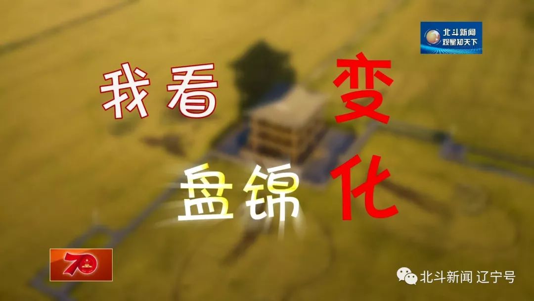 盘锦多少人口_盘锦大米图片