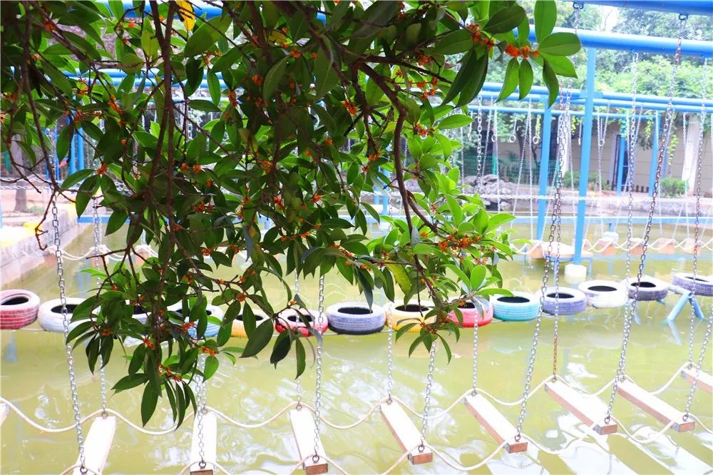 宫桂猜成语_看图猜成语(3)