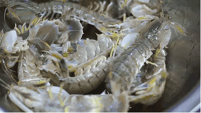 86f066cb683b41759f7e4c0e24464bc3.gif