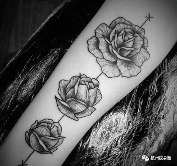 tattoo纹身素材黑玫瑰