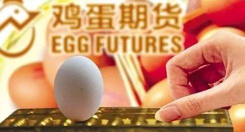 鸡蛋期货历史最低 970dd43eb6a04bd0b28c1c89cb730539.jpeg