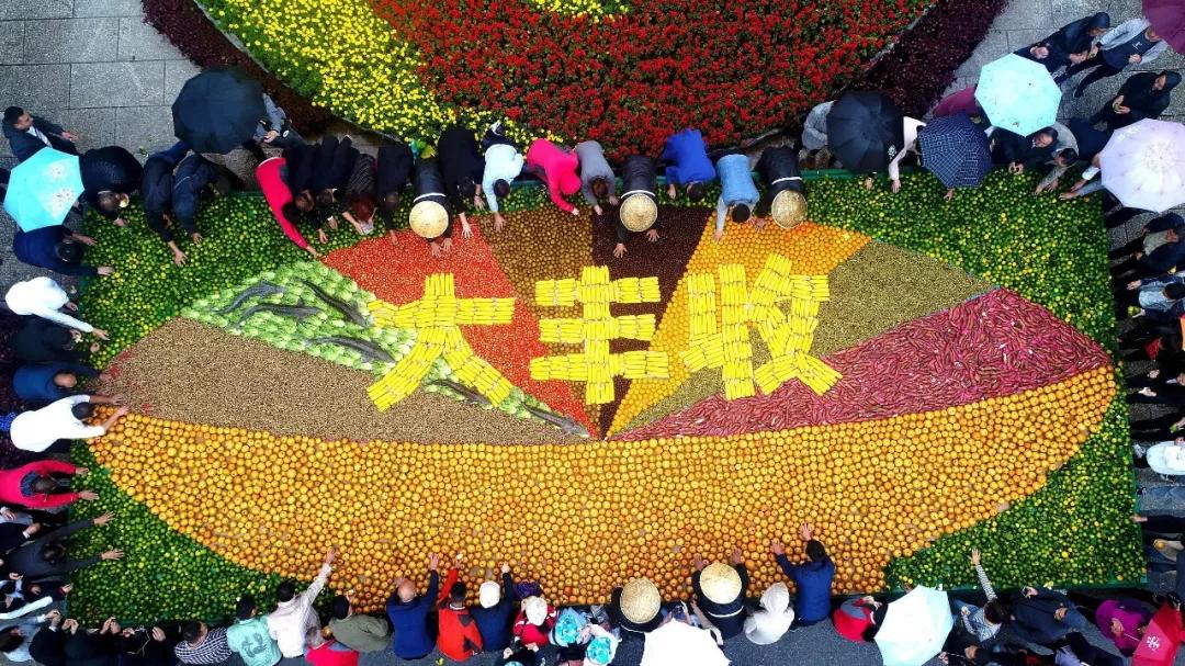 中国农民丰收节来了!银川的活动都在这里了,乡间走起!