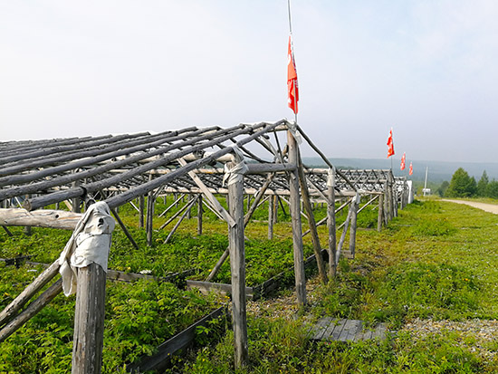 前哨林场：传承红色基因党建引领发展