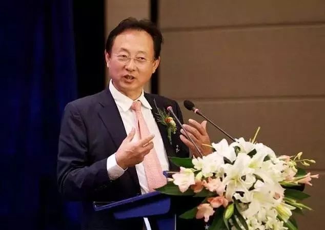 步长药业董事长_步长药业通乳颗粒(2)