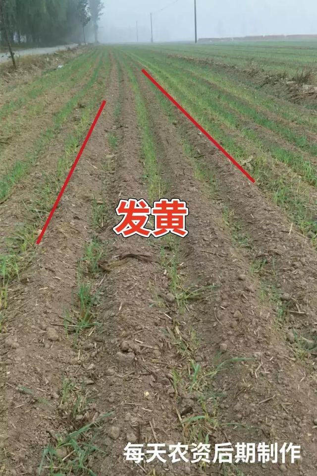 c0d363d93efd4218aed3cd956e5e442a.jpeg