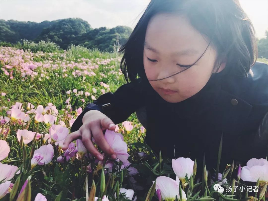 指导老师 庄雯雯