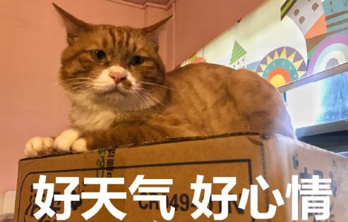 c5953377219a49a2ab3b63903cb870fb.jpeg