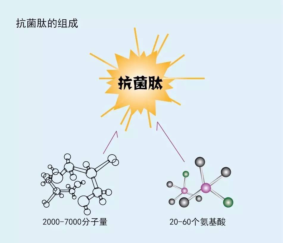 生长因子抗菌多肽硅酮外科术后辅料傻傻分不清楚