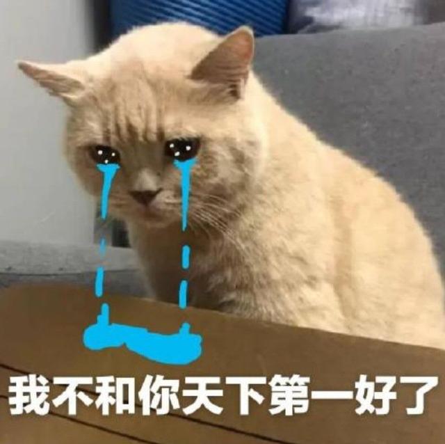 猫咪表情包合集我不和你天下第一好了