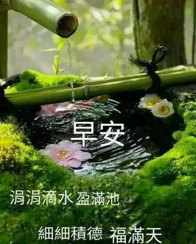 每日群发早上好温馨漂亮祝福语美图,早安带字带祝福语