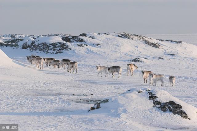 中国海外有领土?这个地方被遗忘84年,中国出入