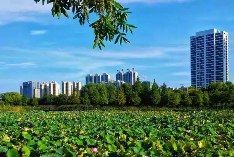 2021年平顶山市区人口_平顶山市区地图全图