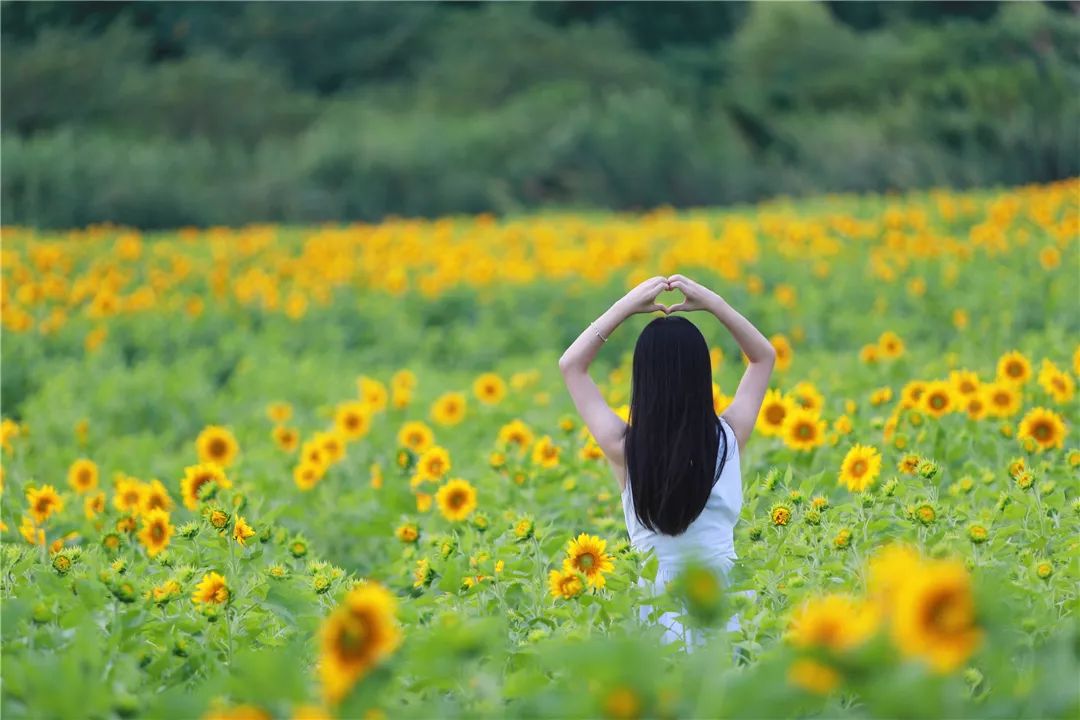 随手一拍都是画 d359004babeb41d7bccacb018c5cca65.jpeg
